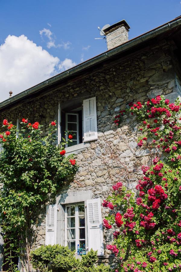 Hotel Mas De La Coutettaz, The Farmhouse مورزين المظهر الخارجي الصورة
